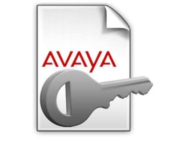 Avaya IP Office R12 Essential Edition PLDS License (434116)