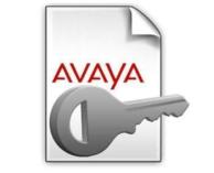 IP Office R12 Avaya TTS Windows Upgrade License