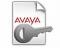 IP Office VPN Client 1 Seat for IP Hardphone (213980)