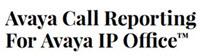 Avaya Call Reporting