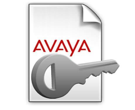 Avaya IP Office R10 IPsec VPN PLDS License (383081)