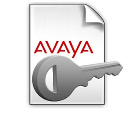 Avaya IP Office R10 Select Edition SIP Trunk 1 PLDS License (307332)