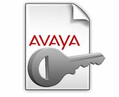 Avaya IP Office R9 3RD Party IP Endpoint 20 PLDS License 273786