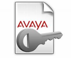 Avaya IP Office R9 Mobile Worker 5 ADI License 275646