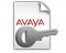 Avaya IP Office R11 Office Worker 1 PLDS License (396442)