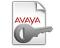 IP Office IP500 Avaya IP Endpoint 20 License (275620)