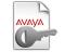Avaya Call Reporting Recording Port License