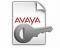 Avaya IP Office R9 IP500 T1 Additional 8CH PLDS License 273923